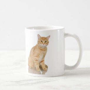 IngwerTabby Tasse