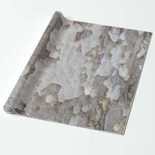 Inhaber eines Baumrindenmusters Geschenkpapier