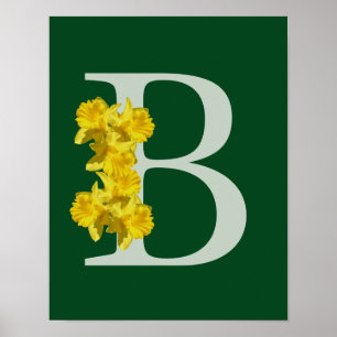 Initial-B-Poster Poster