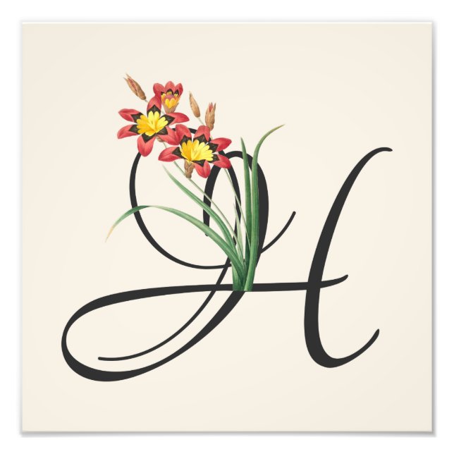 Initial H, Vintag Harlequin Blume Foto Print (Vorne)