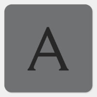 Initialer Name für das klassische Gray Simple Mono