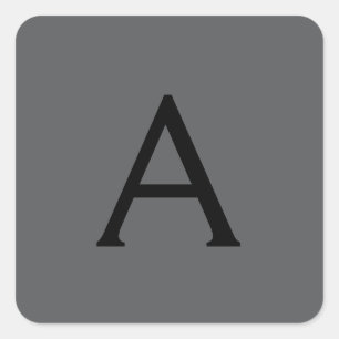 Initialer Name für das klassische Gray Simple Mono Quadratischer Aufkleber