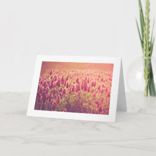 Inkarnatklee-Blumen-Natur-Gruß Karte