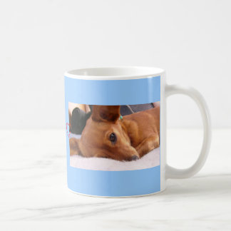 Inki die Chihuahua Tasse