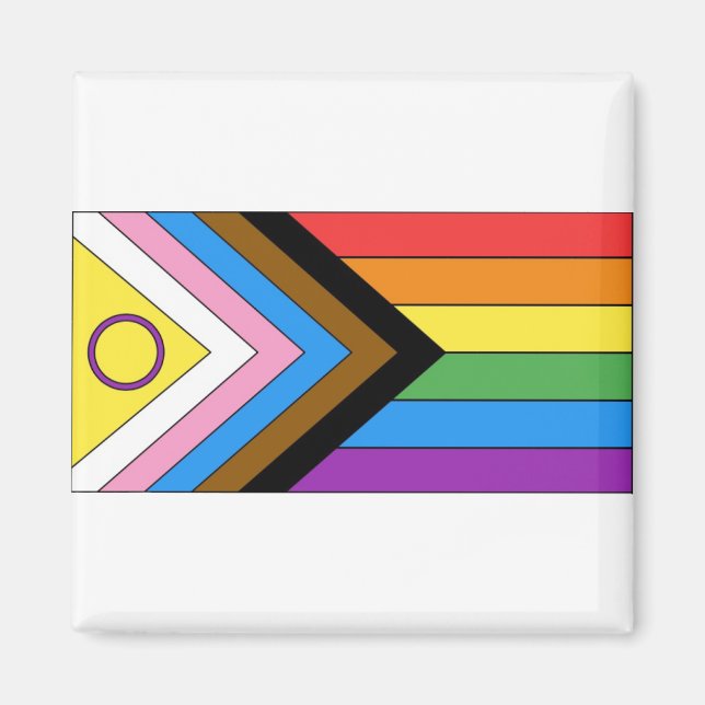 Inklusives Pride-Flag Magnet (Vorne)