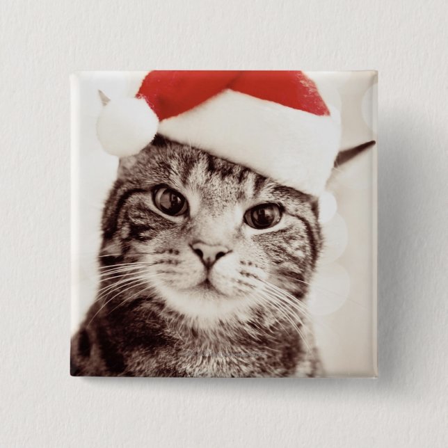 Inländische Tabbykatze, die roten Weihnachtshut Button (Vorderseite)