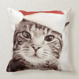 Inländische Tabbykatze, die roten Weihnachtshut Kissen