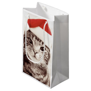 Inländische Tabbykatze, die roten Weihnachtshut Kleine Geschenktüte