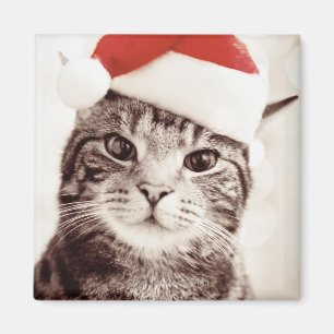 Inländische Tabbykatze, die roten Weihnachtshut Magnet