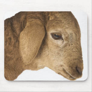 Inländisches Lamm Mousepad
