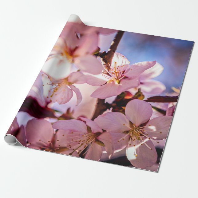 Innen ein Sakura Tree Geschenkpapier (Ungerollt)