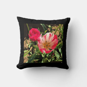 Innen eine rosa und weiße Tulpe Kissen