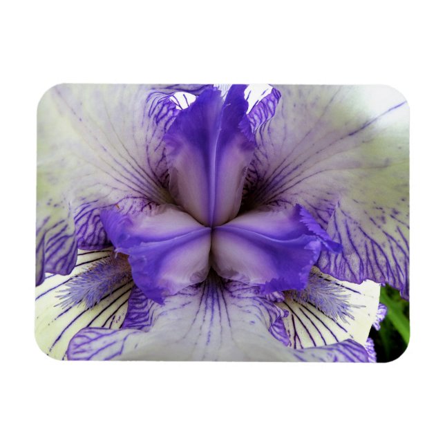 Innen einer Iris Magnet (Horizontal)