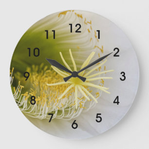 Innen eines weißen Kaktus in Blüte Große Wanduhr