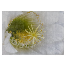 Innen eines weißen Kaktus in Blüte Schneidebrett