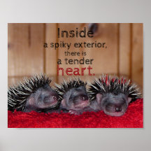 Innen ist ein zitternes Äußeres mit einem zarten H