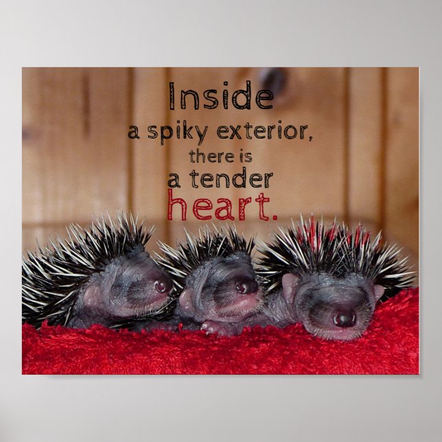 Innen ist ein zitternes Äußeres mit einem zarten H Poster (Vorne)