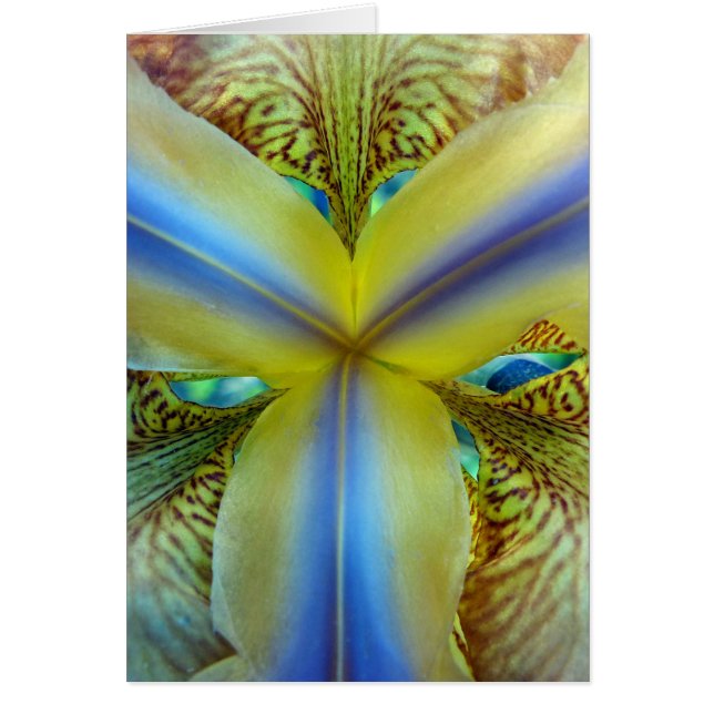 Innen von Iris (Vorne)