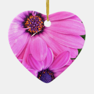 Innen von Pink Lila Gerbera Daisy Blume Natur Keramik Ornament