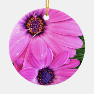Innen von Pink Lila Gerbera Daisy Blume Natur Keramikornament