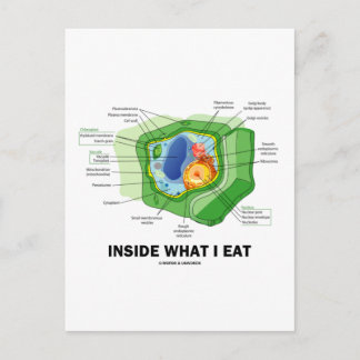 Innen was ich essen (Pflanze Zell Vegetarier-Spaß) Postkarte
