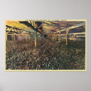 Innenansicht des JR. Simplot, das Co entwässert Poster