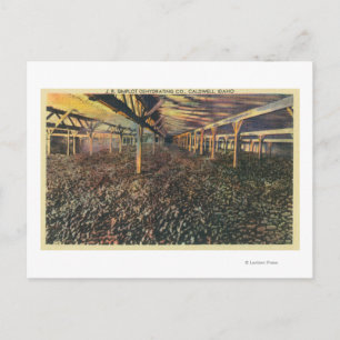 Innenansicht des JR Simplot Dehydrating Co Postkarte