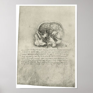 Innenansicht des Schädels, Leonardo da Vinci Poster