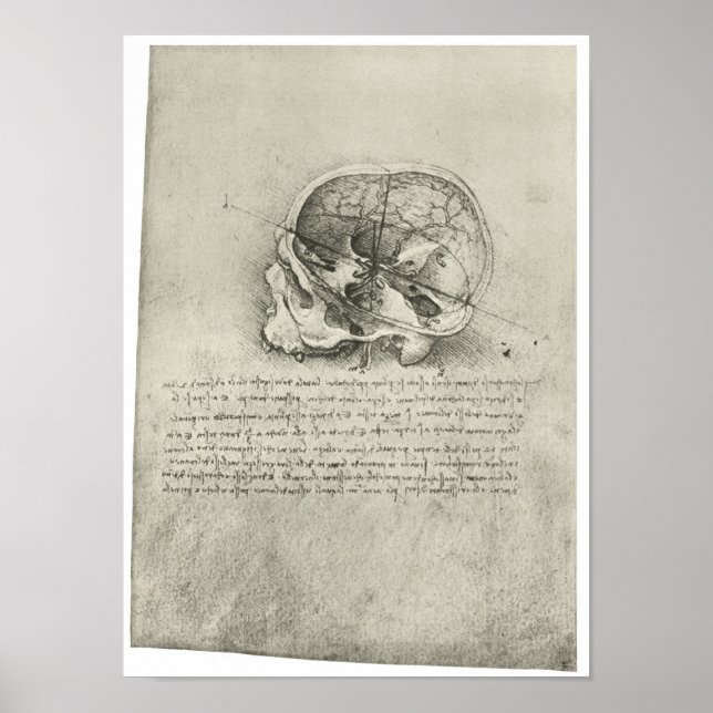 Innenansicht des Schädels, Leonardo da Vinci Poster (Vorne)