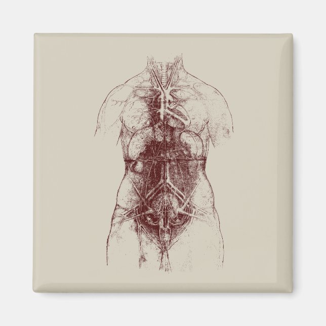 Innenkörper Magnet (Vorne)