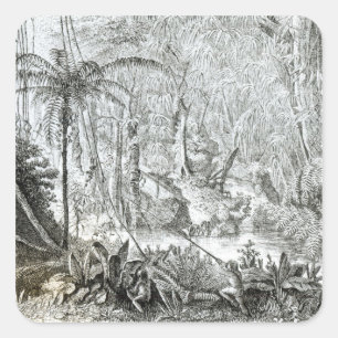 Innenraum eines Urwaldes in den Amazonas Quadratischer Aufkleber