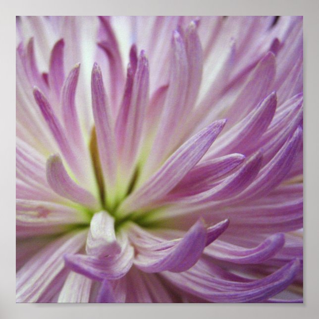 Innenseite Poster (Vorne)