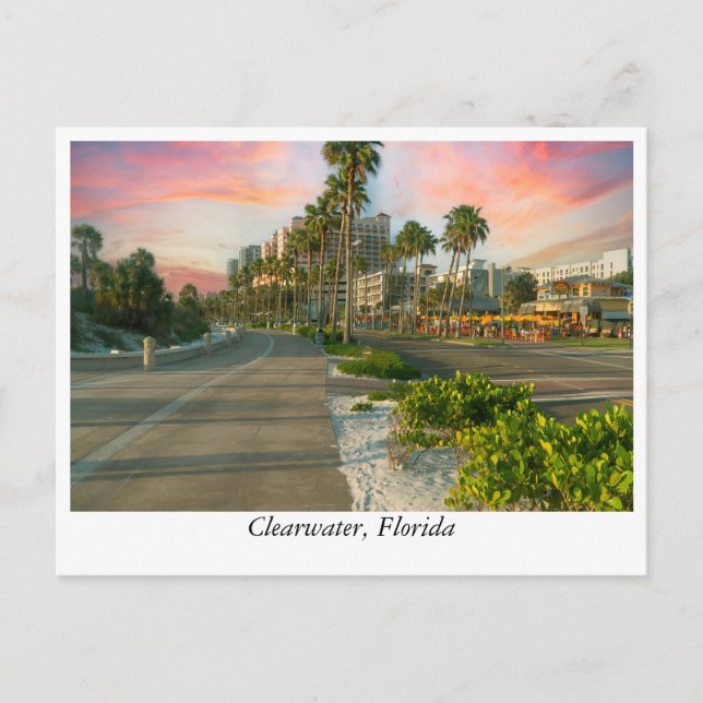 Innenstadt von Clearwater: Floridas Küstenmeer Postkarte (Vorderseite)
