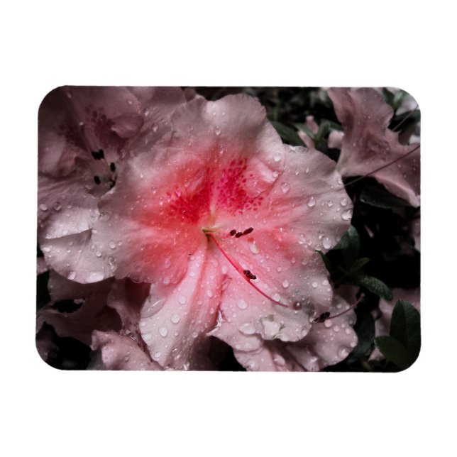 Inner Glow Flexibles Magnet (Horizontal)