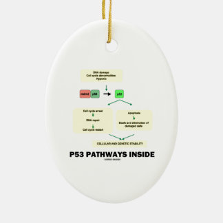 Innere der Bahn-P53 (Zellen-Molekularbiologie) Keramik Ornament