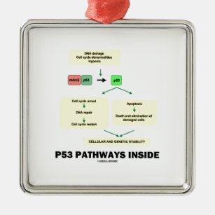 Innere der Bahn-P53 (Zellen-Molekularbiologie) Ornament Aus Metall