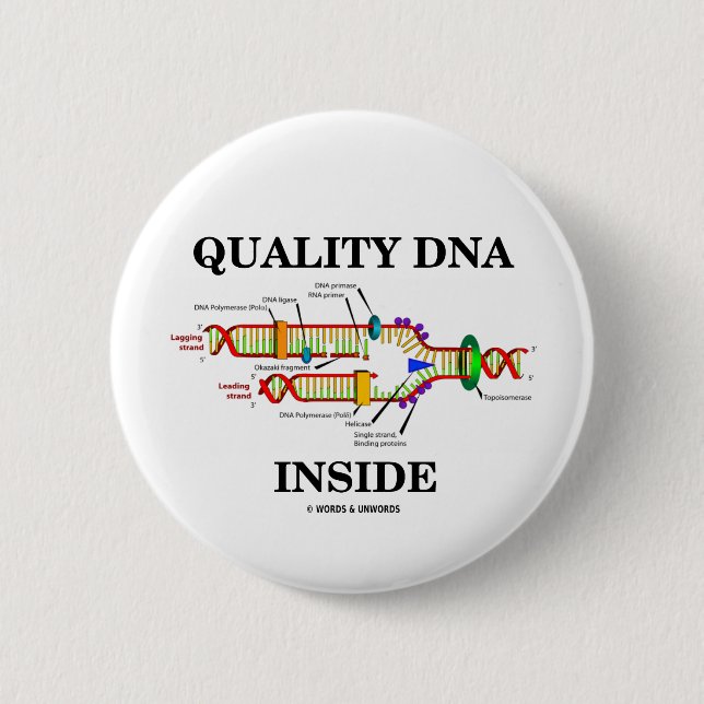 Innere der Qualitäts-DNS (DNS-Reproduktion) Button (Vorderseite)
