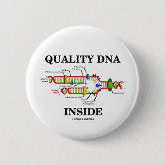 Innere der Qualitäts-DNS (DNS-Reproduktion) Button