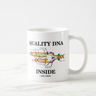 Innere der Qualitäts-DNS (DNS-Reproduktion) Tasse
