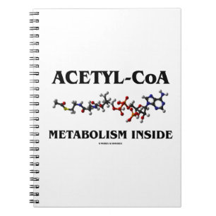Innere des Metabolismus-Acetyl-CoA (chemisches Notizblock