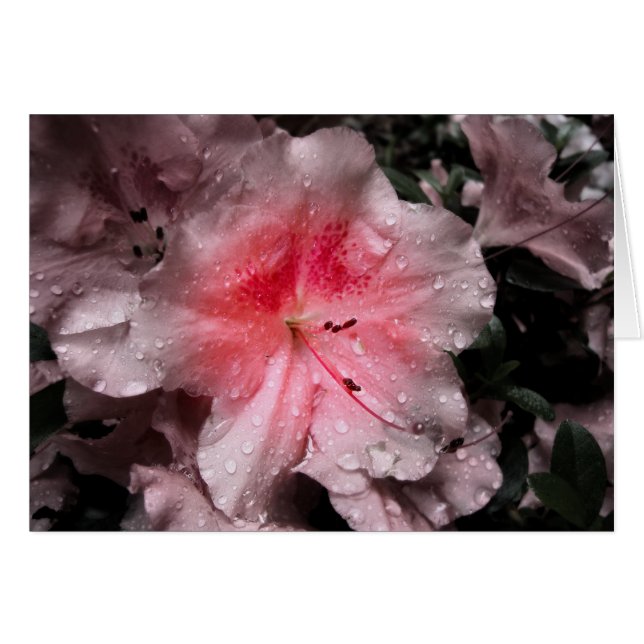 Innere Glow Card (Vorderseite (Horizontal))