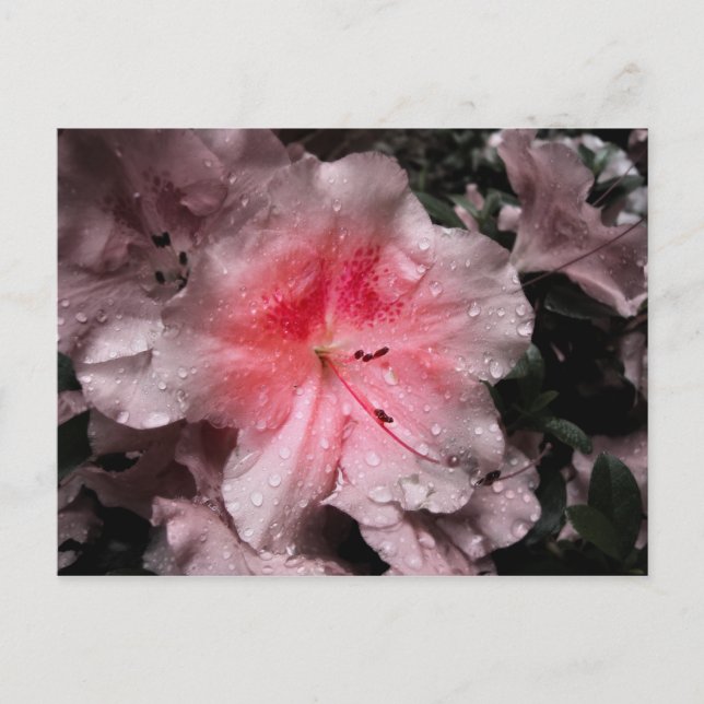 Innere Glow Postkarte (Vorderseite)