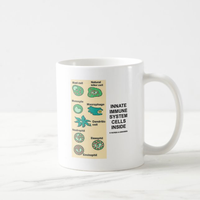 Innere Zellen des Immunsystems Kaffeetasse (Rechts)