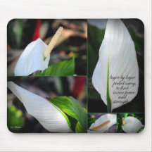 Innerer Frieden und Stärke