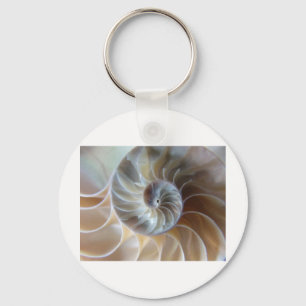 Innerer Nautilus Schlüsselanhänger