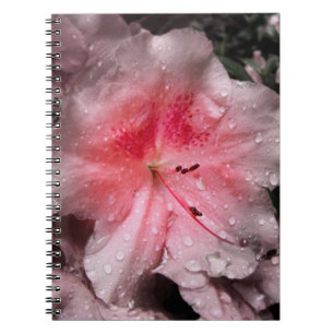 Inneres Glow Notebook Notizblock