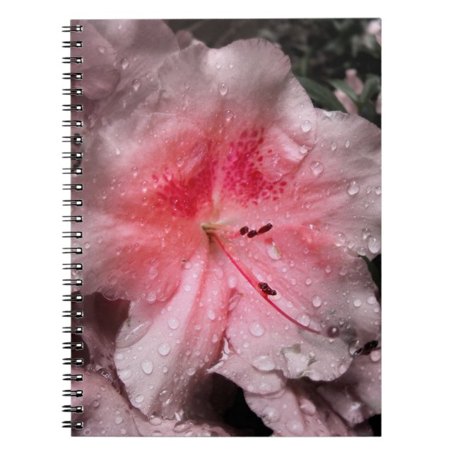 Inneres Glow Notebook Notizblock (Vorderseite)