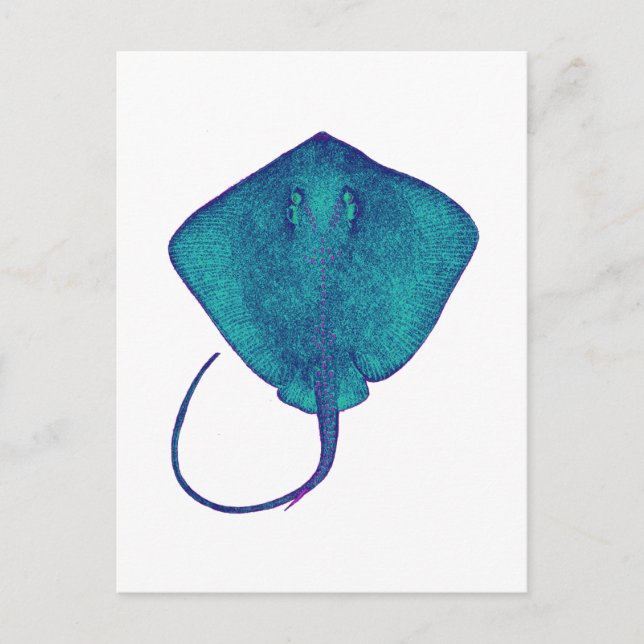 INNERHALB DES BLAUES POSTKARTE (Vorderseite)