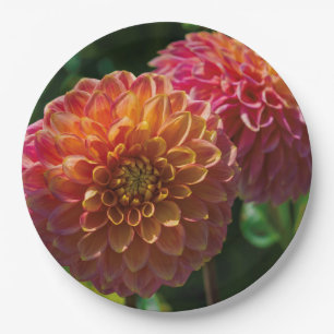 Innerhalb des Dahlia Gartens 1 Pappteller