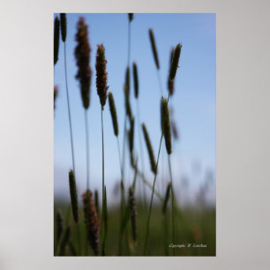 Innerhalb des Hays Poster